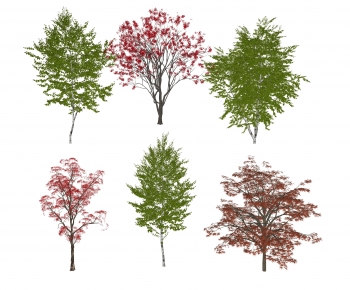 Modern Tree-ID:658538104