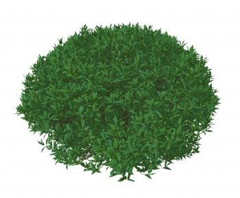 Modern Shrubbery-ID:561644083