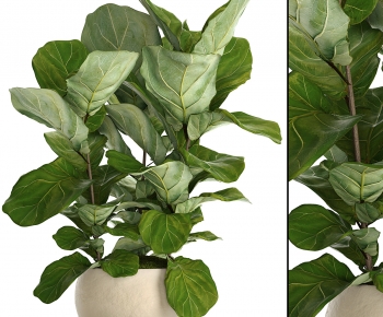 Modern Potted Green Plant-ID:896285069
