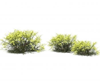 Modern Shrubbery-ID:645433905