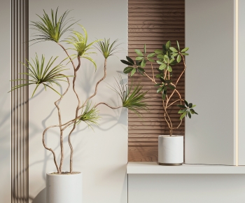 Modern Ground Green Plant Potted Plants-ID:128104933