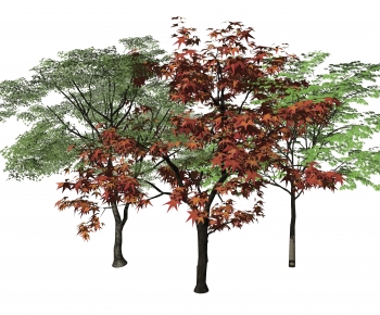 Modern Tree-ID:521977903