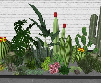 Modern Plant Landscaping-ID:132980325