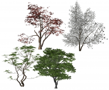 Modern Tree-ID:402430066