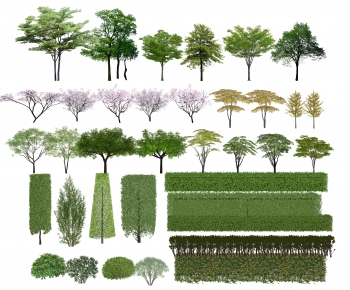 Modern Tree-ID:871071107