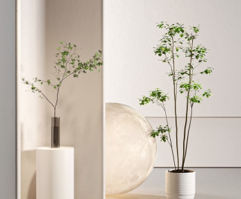 Modern Ground Green Plant Potted Plants-ID:935991051