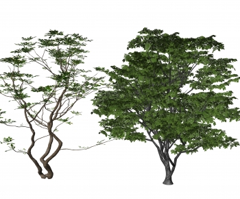 Modern Tree-ID:852159989