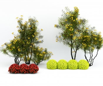Modern Shrubbery-ID:797782906