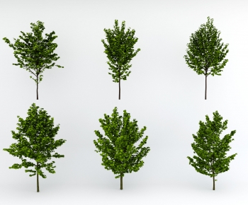 Modern Tree-ID:116024029