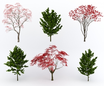 Modern Tree-ID:338948971