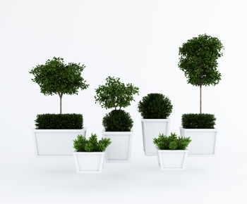 Modern Ground Green Plant Potted Plants-ID:847628129