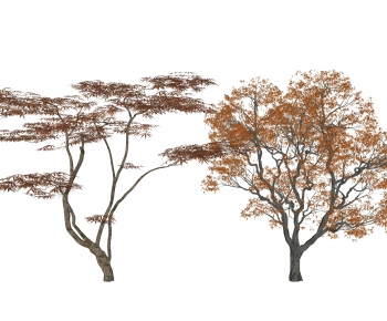 Modern Tree-ID:943419936