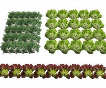 Modern Crop-ID:149637947