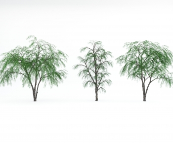 Modern Tree-ID:878238926