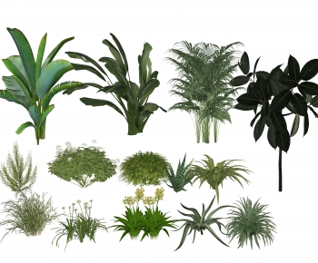 Modern Plant-ID:684649926