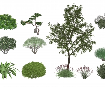 Modern Shrubbery-ID:236735118