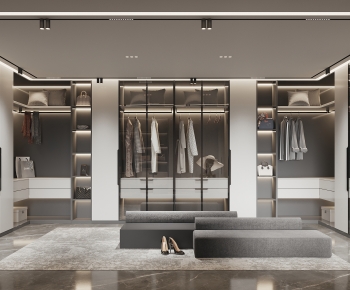 Modern Clothes Storage Area-ID:154390319