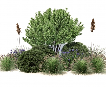 Modern Shrubbery-ID:233841901