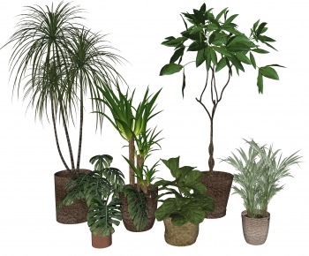 Modern Ground Green Plant Potted Plants-ID:537466055