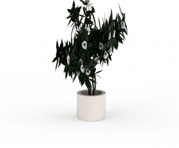Modern Ground Green Plant Potted Plants-ID:786408903
