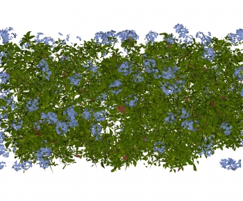 Modern Vine-ID:862479281