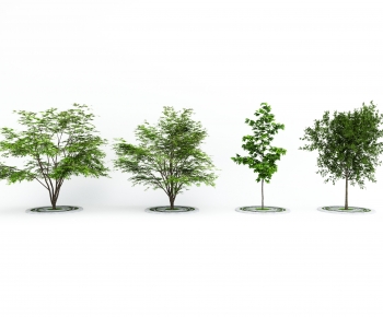 Modern Tree-ID:926012049