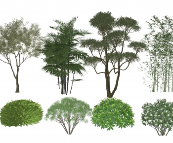 Modern Shrubbery-ID:437239897