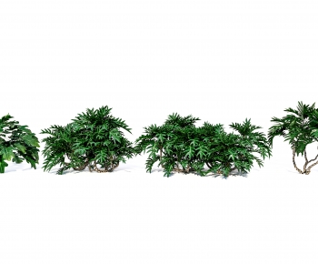 Modern Shrubbery-ID:624610901