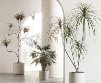 Modern Ground Green Plant Potted Plants-ID:261847021