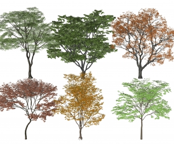 Modern Tree-ID:868077043