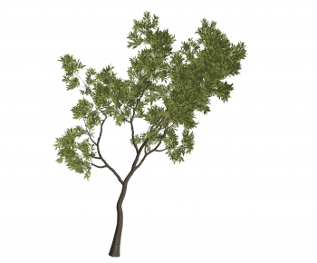 Modern Tree-ID:539355999