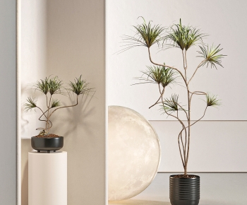 Modern Ground Green Plant Potted Plants-ID:581515074