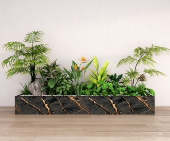 Modern Plant Landscaping-ID:562796127