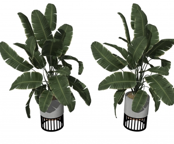 Modern Ground Green Plant Potted Plants-ID:704466104