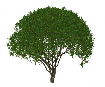 Modern Tree-ID:621155982