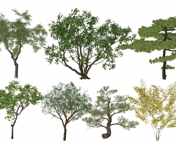 Modern Tree-ID:371860036