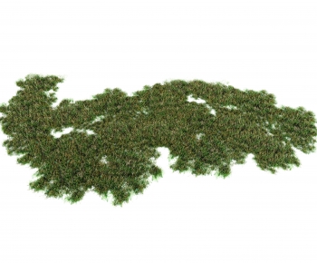 Modern The Grass-ID:491400965