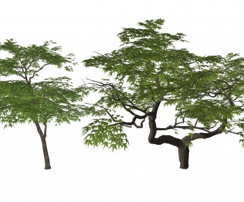 Modern Tree-ID:140831952