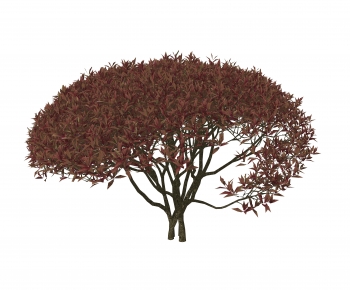 Modern Tree-ID:865778927