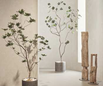 Modern Ground Green Plant Potted Plants-ID:872716909