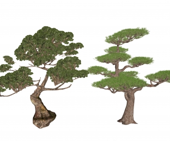 Modern Tree-ID:387286901