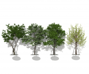 Modern Tree-ID:294039252