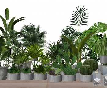 Modern Ground Green Plant Potted Plants-ID:416640041