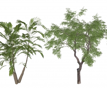 Modern Tree-ID:583889015