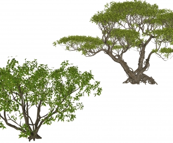 Modern Tree-ID:263114934