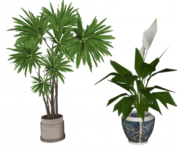 Modern Ground Green Plant Potted Plants-ID:437422996