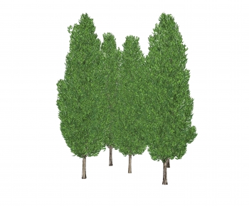 Modern Tree-ID:855610426