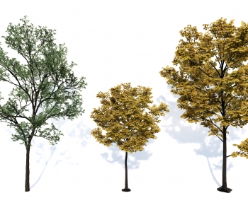 Modern Tree-ID:835860975