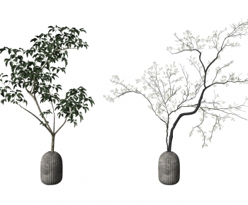 Modern Ground Green Plant Potted Plants-ID:780260632