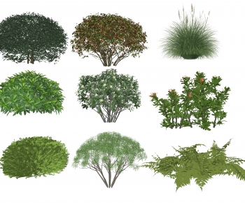 Modern Shrubbery-ID:540302049